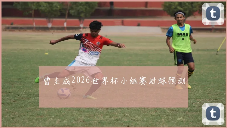 曹圭成2026世界杯小组赛进球预测