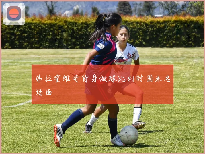 弗拉霍维奇背身做球比利时国米名场面