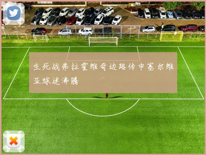生死战弗拉霍维奇边路传中塞尔维亚球迷沸腾