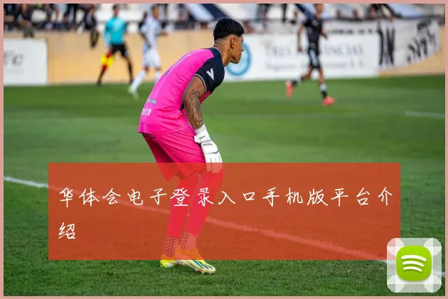 华体会电子登录入口手机版平台介绍