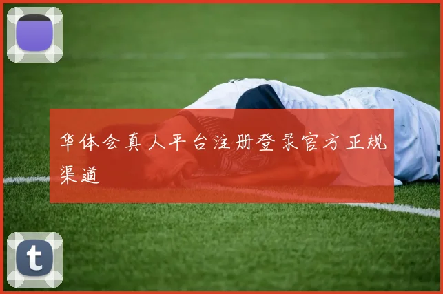 华体会真人平台注册登录官方正规渠道