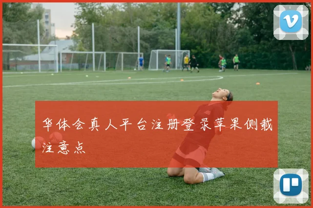 华体会真人平台注册登录苹果侧载注意点